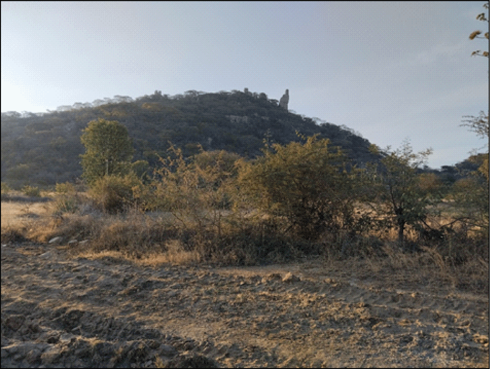 MunwewaMwari hill with its peculiar ‘finger of God’ (Source: Author).