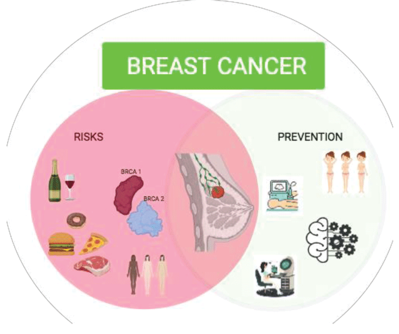 Graphical abstract