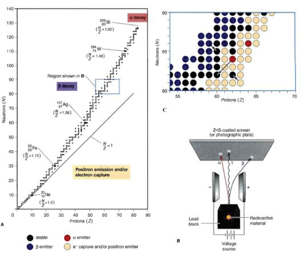 (A) particles stability band (B) Emission process (C) Three types of decay [1].