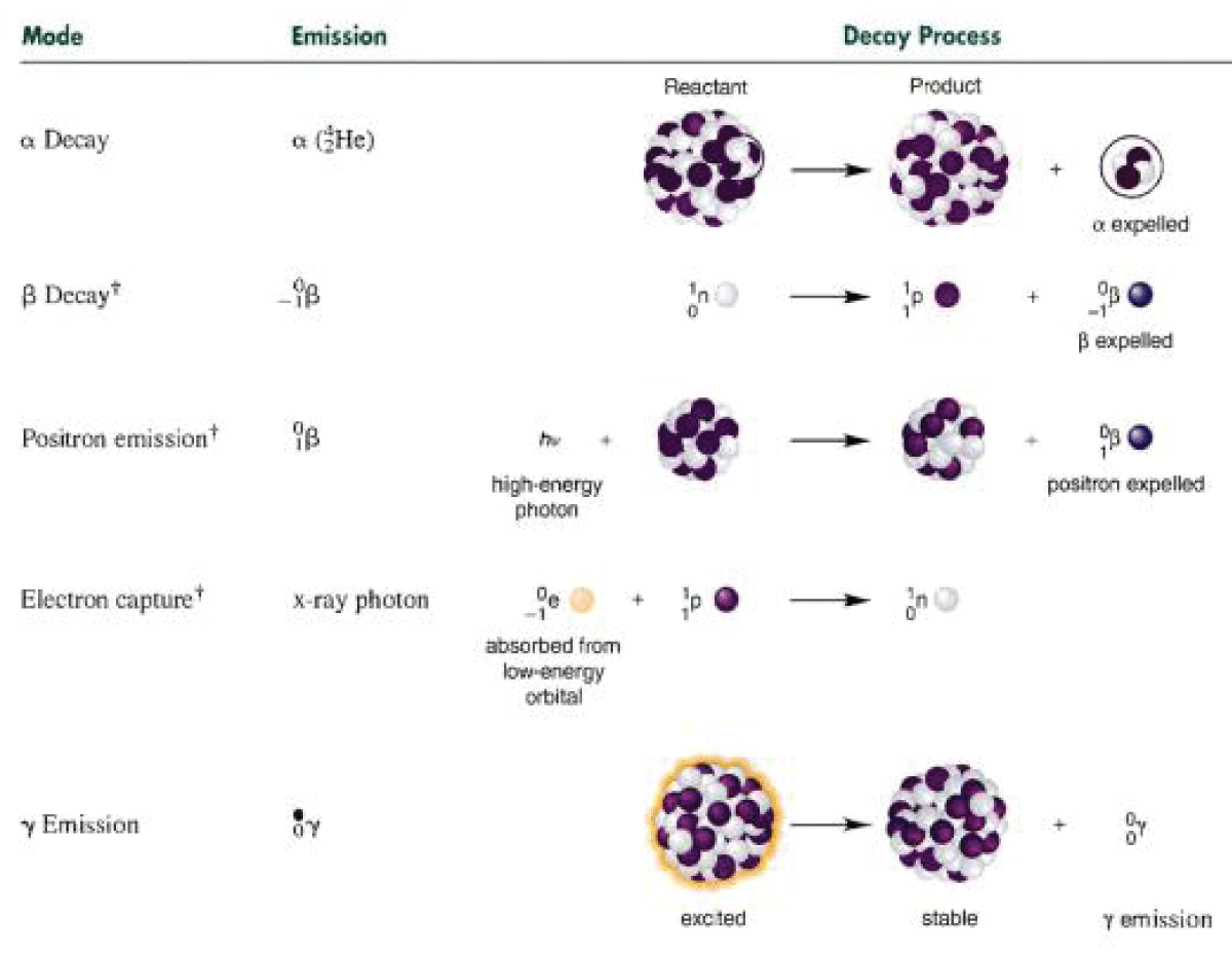 Different forms of decay [1].