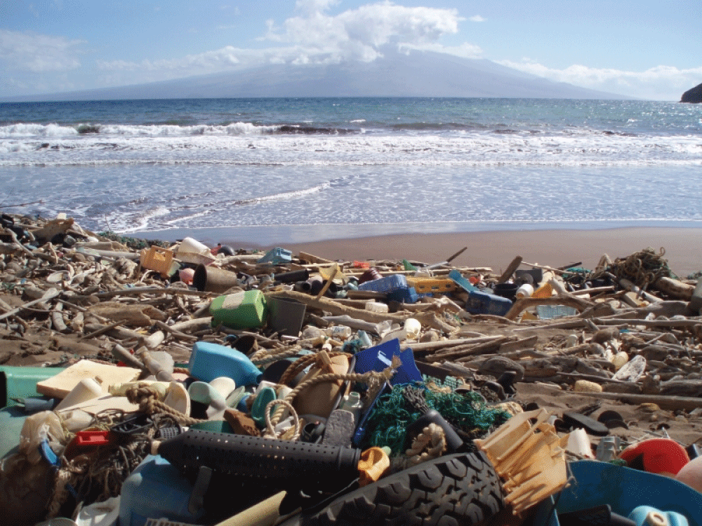 Plastic debris from Kanapou Bay, on one of the islands of Hawaii. (Image credit: NOAA)