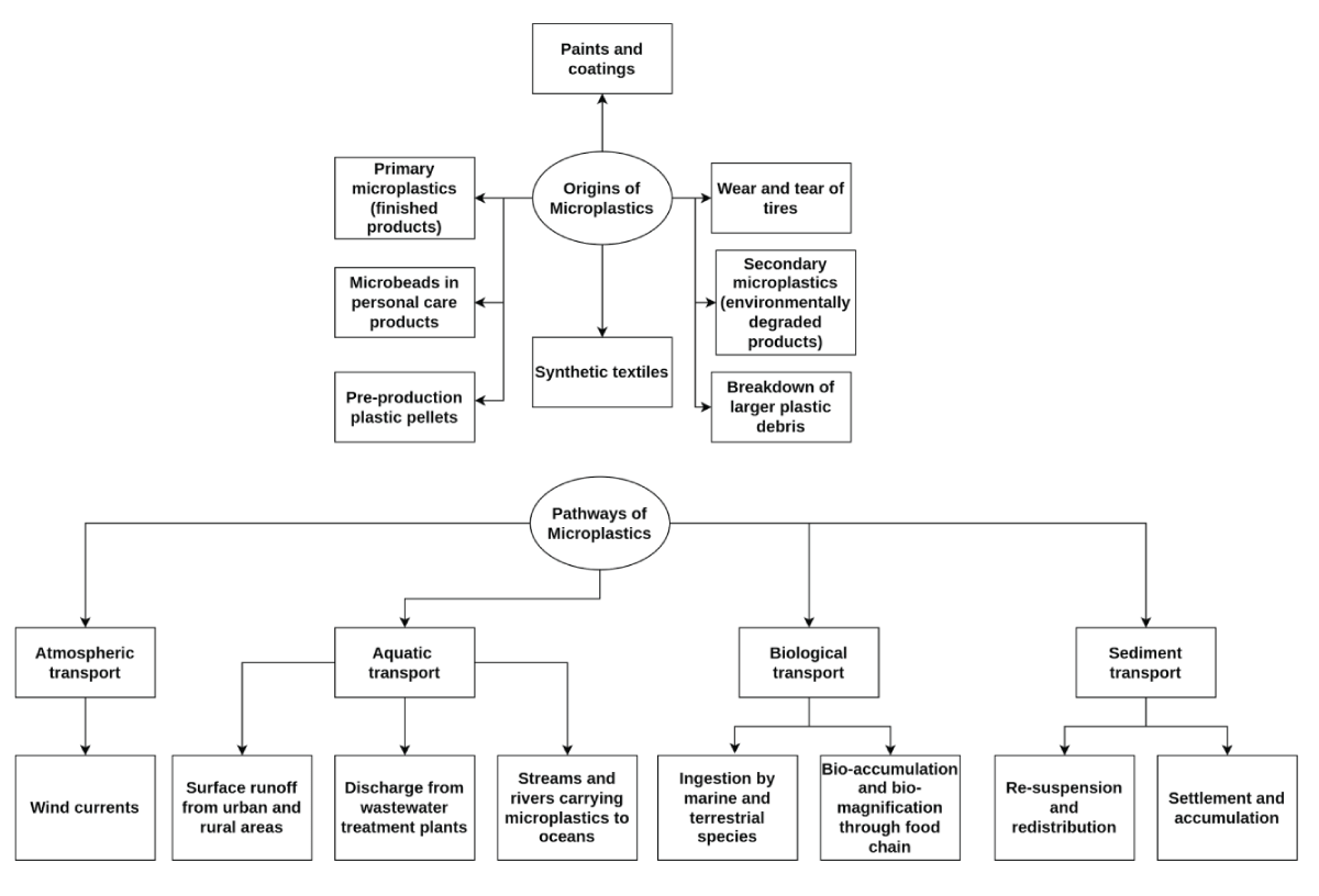 The detailed flow for the origin and pathways of microplastics