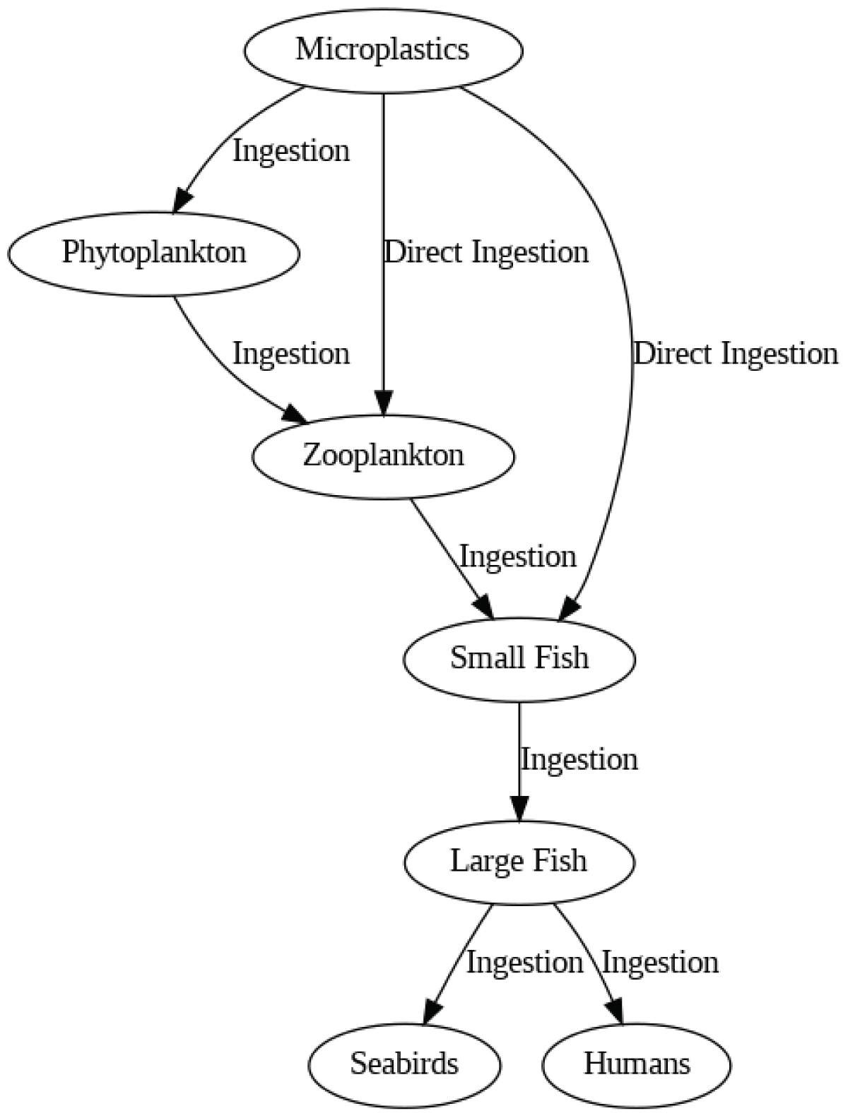 Relation between microplastics and the food web [47].