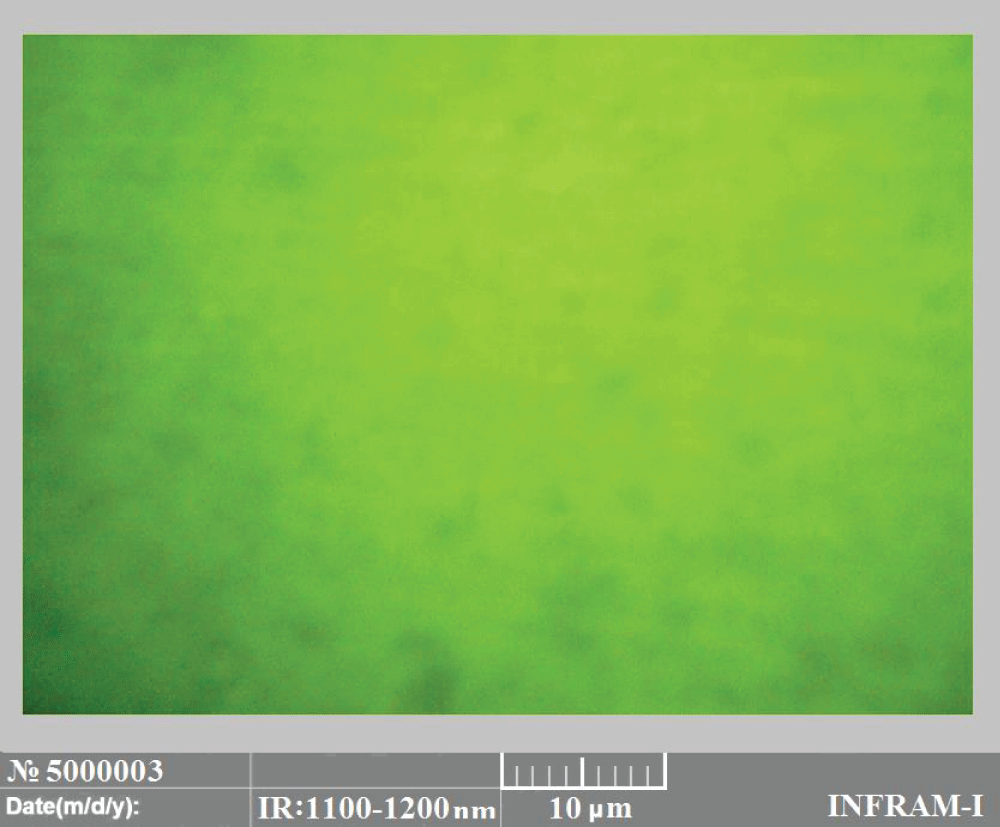 Micrograph of a silicon sample obtained by two-stage gadolinium diffusion at relatively low final temperatures and exposure time.