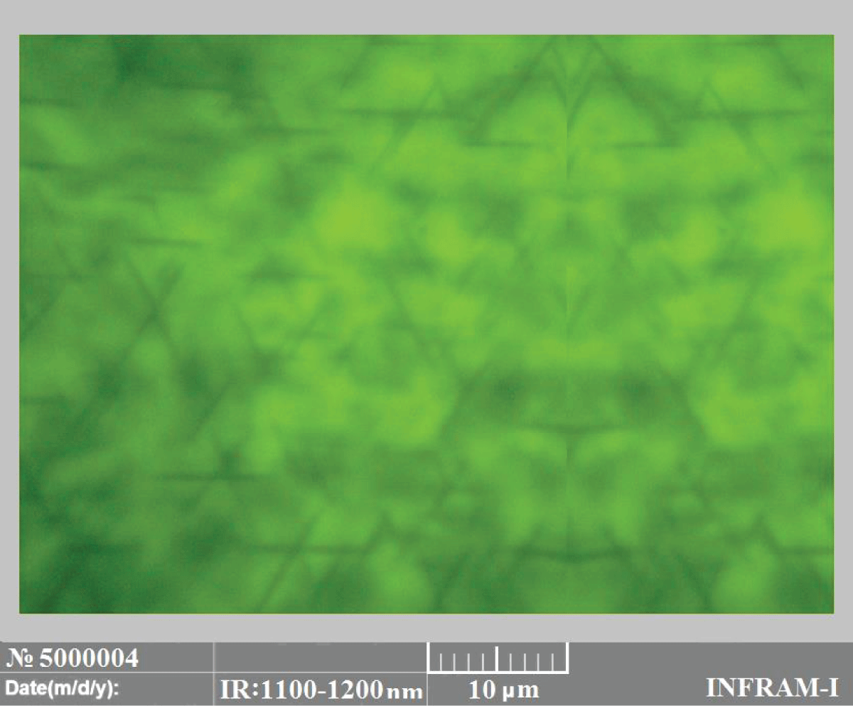 Micrograph of a silicon sample obtained by three-stage gadolinium diffusion at relatively high final temperatures and long exposure times.