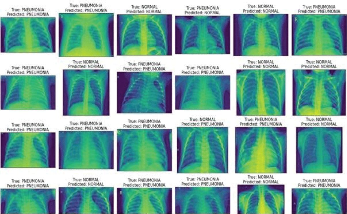 Actual and predicted label images.