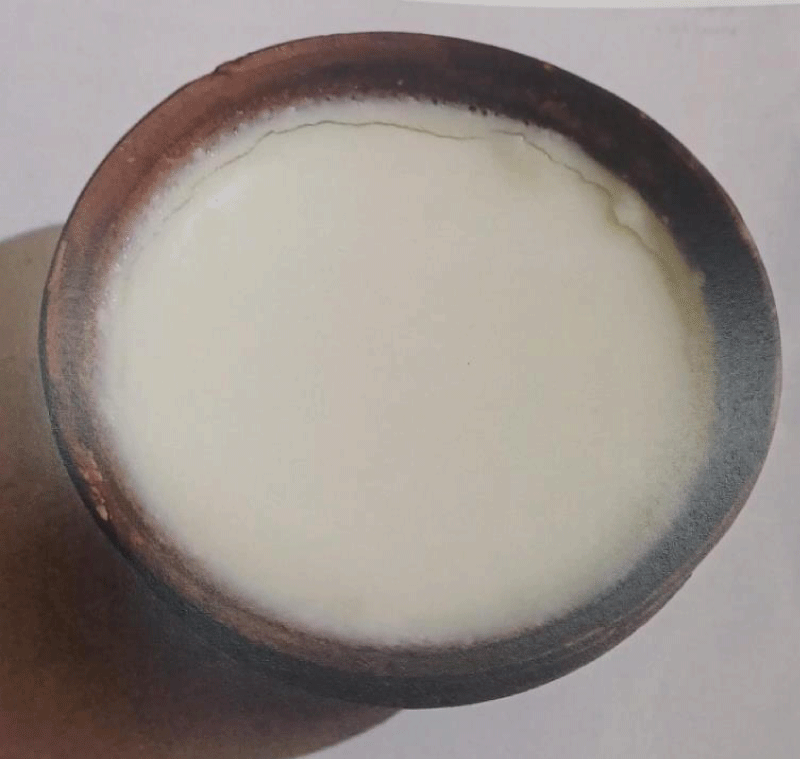 Yogurt (curd) as a probiotic food. Source of image: Author.