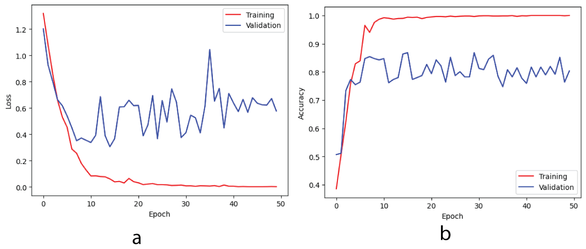 Loss and accuracy curves on training/validation sets for phase-only image dataset (a) loss (b) accuracy.