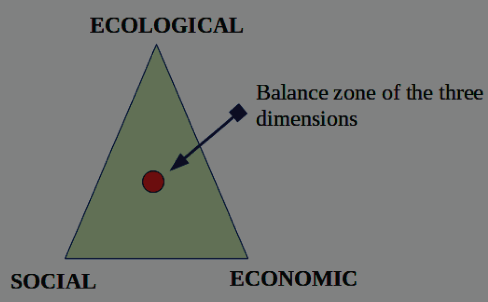 Dimensions of the concept of sustainability. Source: Artaraz M [7].