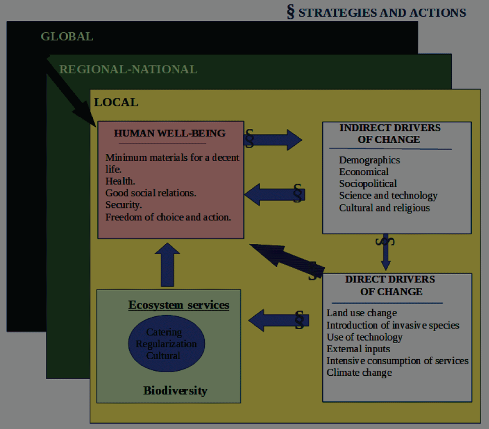 The Relationships between the Functioning of Ecosystems and Human Well-Being. Source: Montes C & Sala O [10].