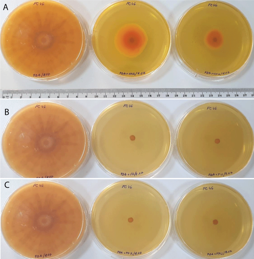 Fusarium culmorum Fc46 fungal growth in control plates (left) compared to CF1-NP (a), CF2-F (b), and CF3-FP (c) pesticide treatments in reduced (center) and currently recommended dose (right) (after 10 days of incubation).