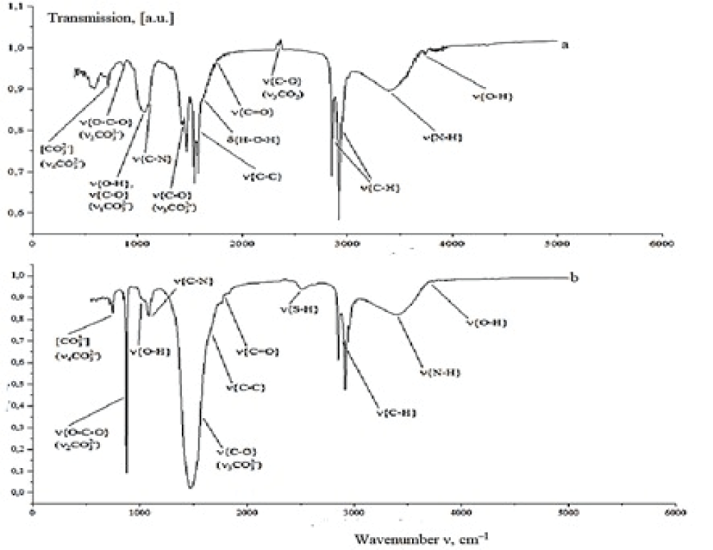 IR spectra of (a) sample 3 and (b) sample 5.