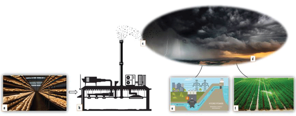 Hypothetical ground-based fungal spore launching for cloud seeding purpose: macro-scale indoor fungal cultivation (a), cultivation room equipped with an air blower, air sucking, and generating machines (b), spore dispersal through a plumbing vent (c), fungal spores induces and enhances precipitation (d), dams collect sufficient water thereby maximizing hydropower generation (e) and agricultural productivity (f). (Source: https://mushroom-growing.com/indoor-mushroom-farm/ (a), https://www.istockphoto.com/de/vektor/zentrale-klimaanlage-für-gebäude-gm113015 560 4-298811431 (b), https://www.istockphoto.com/de/fotos/heavy-rain-in-the-mountains (d), , (e) https://home.howstuffworks. com/ irrigation.htm (f))