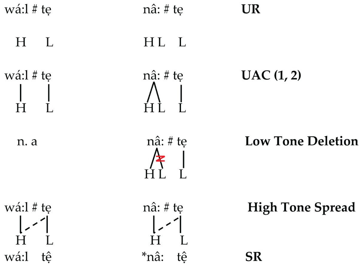 Sequence B derivation application.