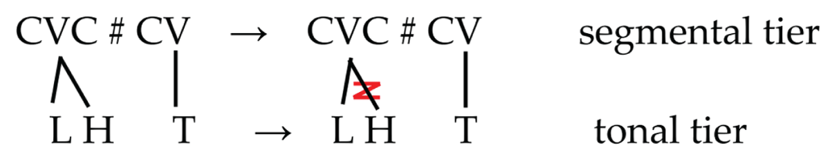 Contour Tone Simplification is represented in both the segmental and tonal tiers.
