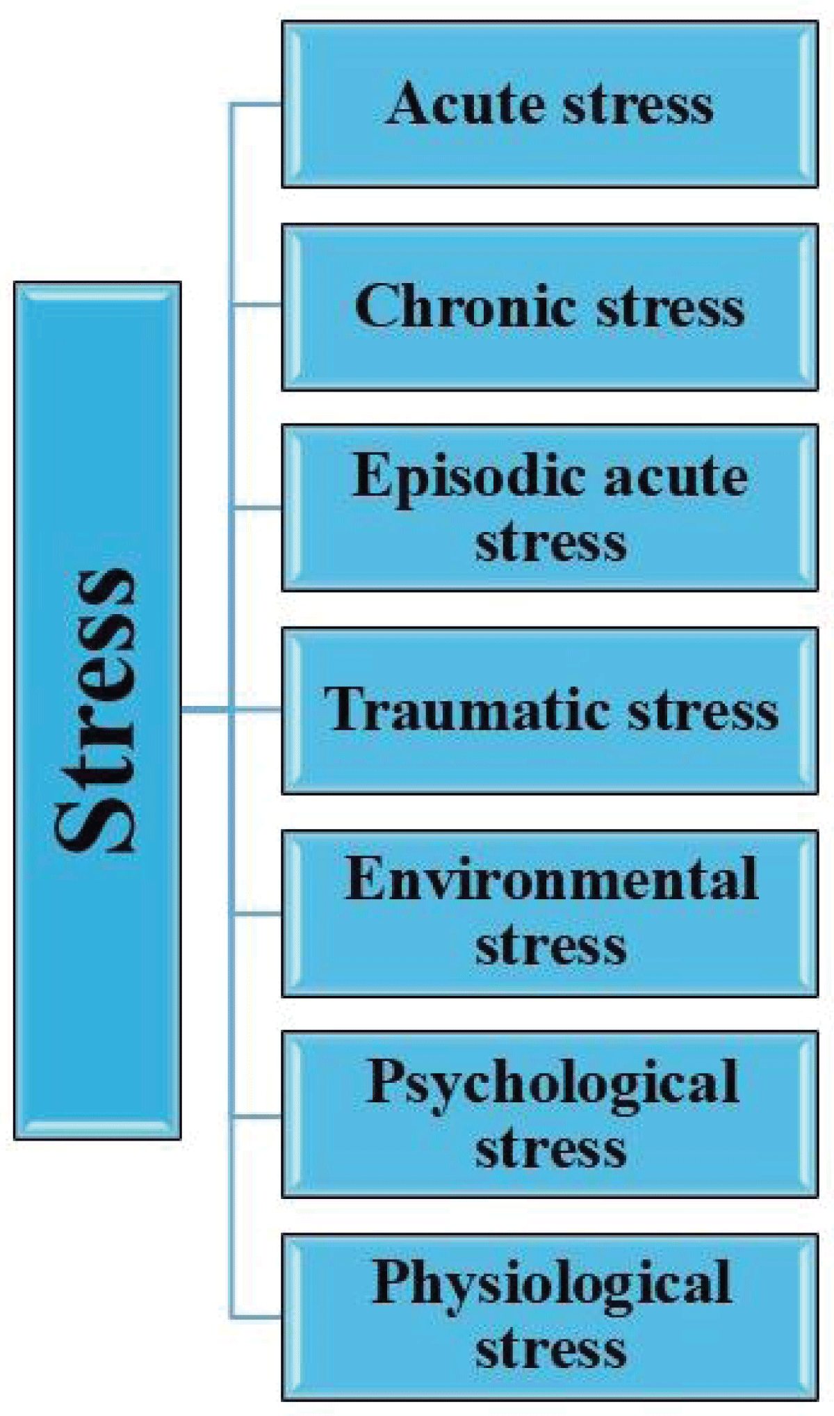 Types of stress. (Adapted from existing literature and created by authors using MS PowerPoint).