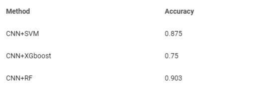 <p>Results Table of Hybrid model for Pneumonia classification.</p>