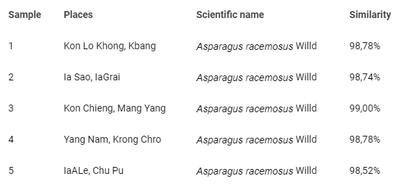 <p>Similarity of the A. racemosus samples.</p>